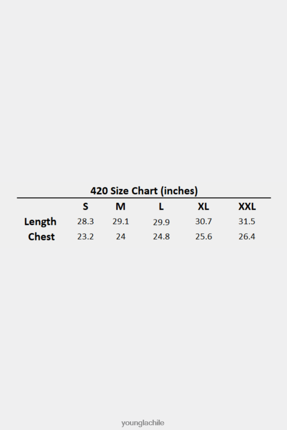 ropa YoungLA Chile - Camiseta extragrande esencial 420 lavado marrón ropa hombres YoungLA N8PZ162