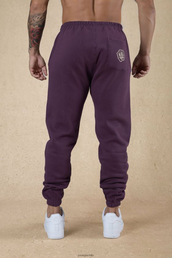 YoungLA joggers - 233 los corredores inmortales caen 22\" ciruela perfecta ropa hombres YoungLA N8PZ851